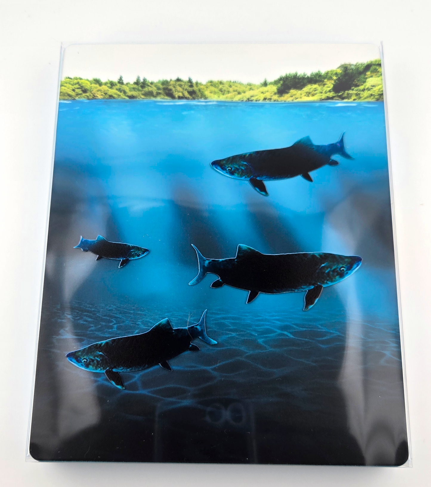 Without A Paddle Custom SteelBook (Clear Slipcover)